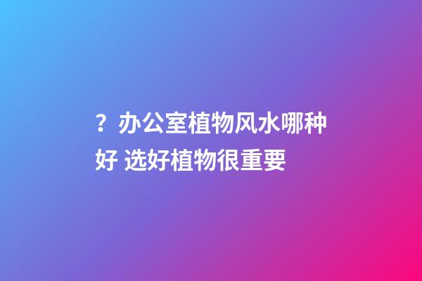 ？办公室植物风水哪种好 选好植物很重要